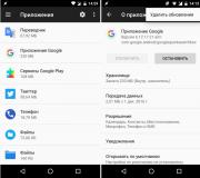 Kërkimi zanor në Android: si ta instaloni, aktivizoni dhe përdorni saktë