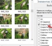 EXIF Tarih Değiştirici Görüntü Meta Verisinde çekilen fotoğraflar için EXIF \u200b\u200bzaman verilerini düzenleme