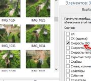 Uređivanje podataka o vremenu EXIF \u200b\u200bza fotografije snimljene u metapodacima slike EXIF \u200b\u200bdatuma